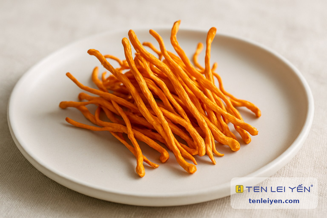 Dried Cordyceps militaris stalks showing vivid orange colour and finger-like cluster form