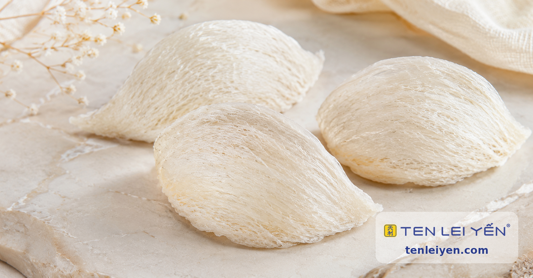 Premium whole dried edible bird's nest