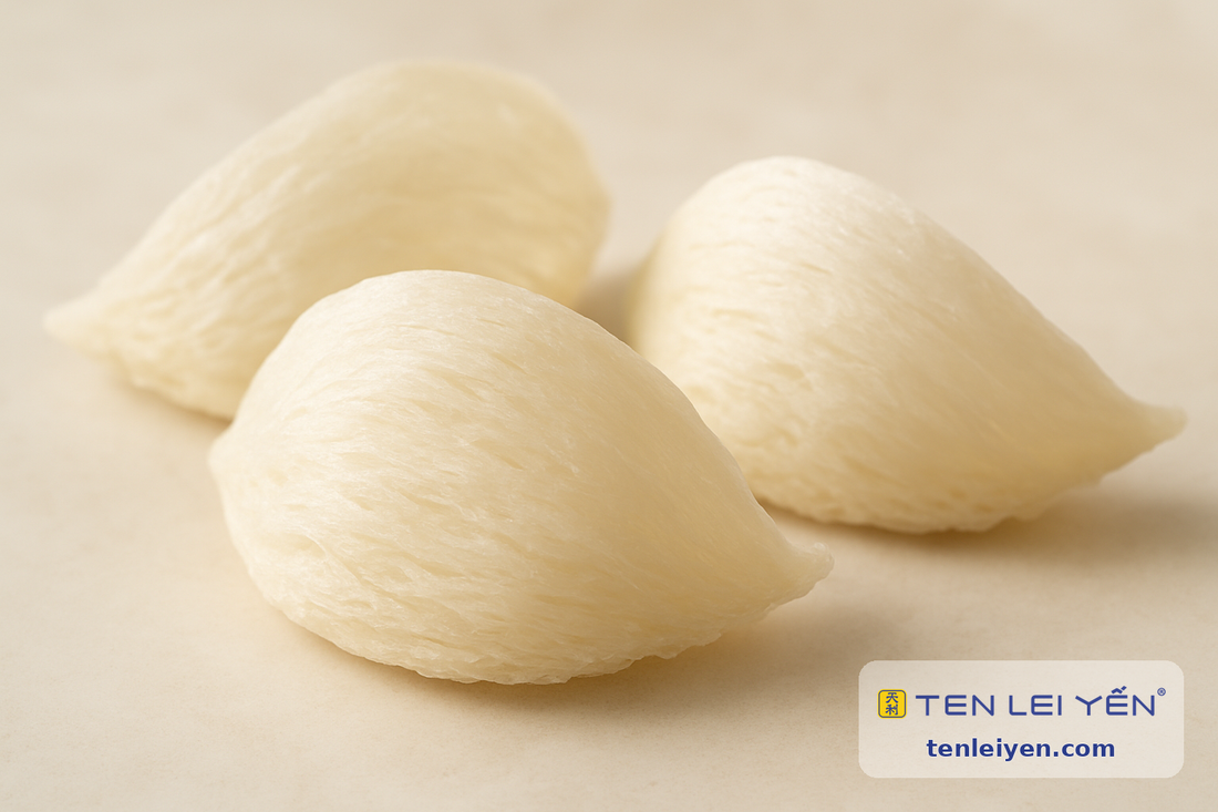 Clean uniform Indonesian dried white bird's nests