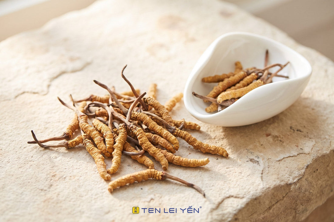 Whole dried wild cordyceps sinensis scattered on a pale stone surface with a small white porcelain dish