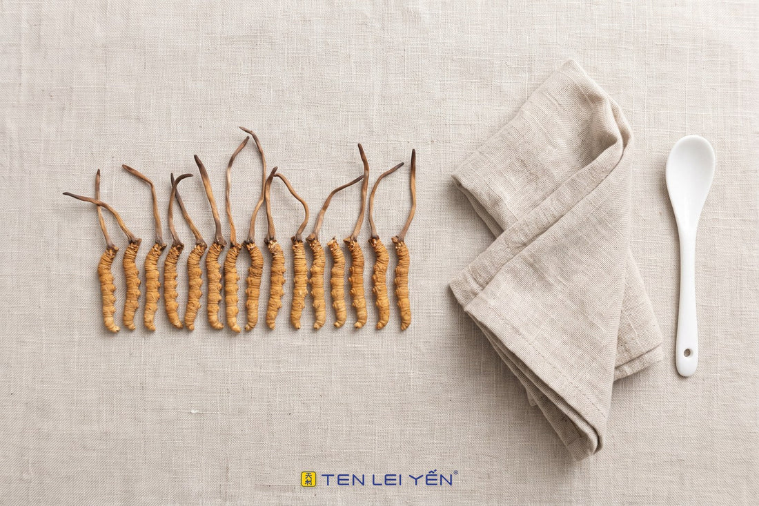 A row of whole dried wild cordyceps sinensis on linen with a white porcelain spoon, overhead view
