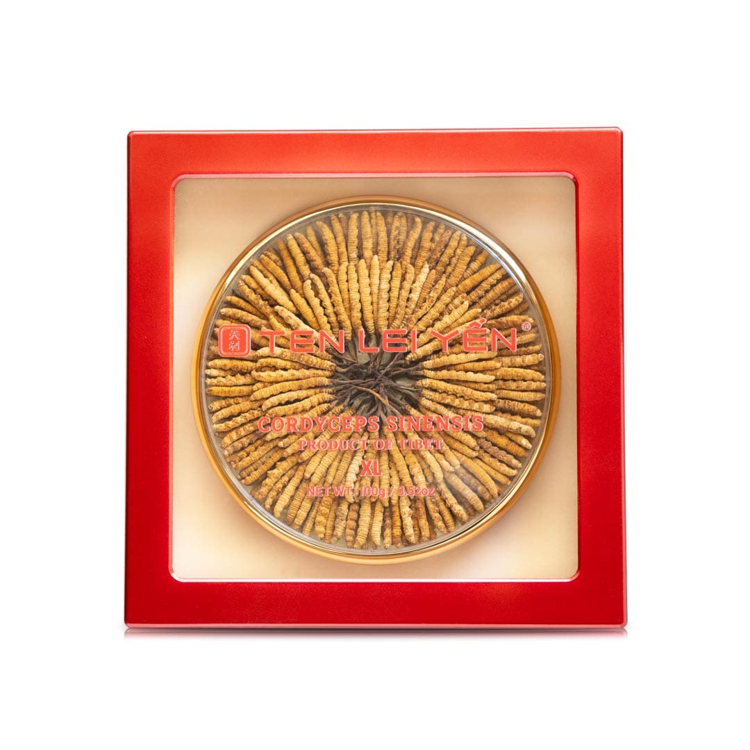 Ten Lei Yen Cordyceps Semi Wild Large 37.5 Gram