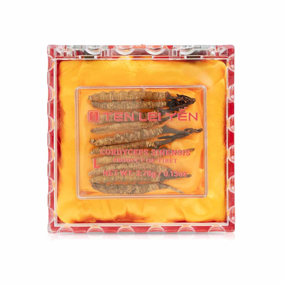 Cultivated Cordyceps Sinensis Large 3.78 Grams
