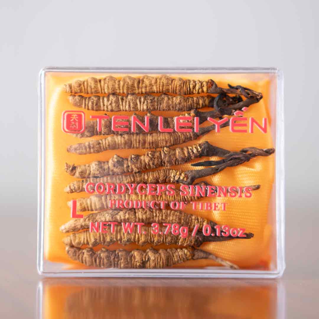 Cultivated Cordyceps Sinensis Large 3.78 Grams
