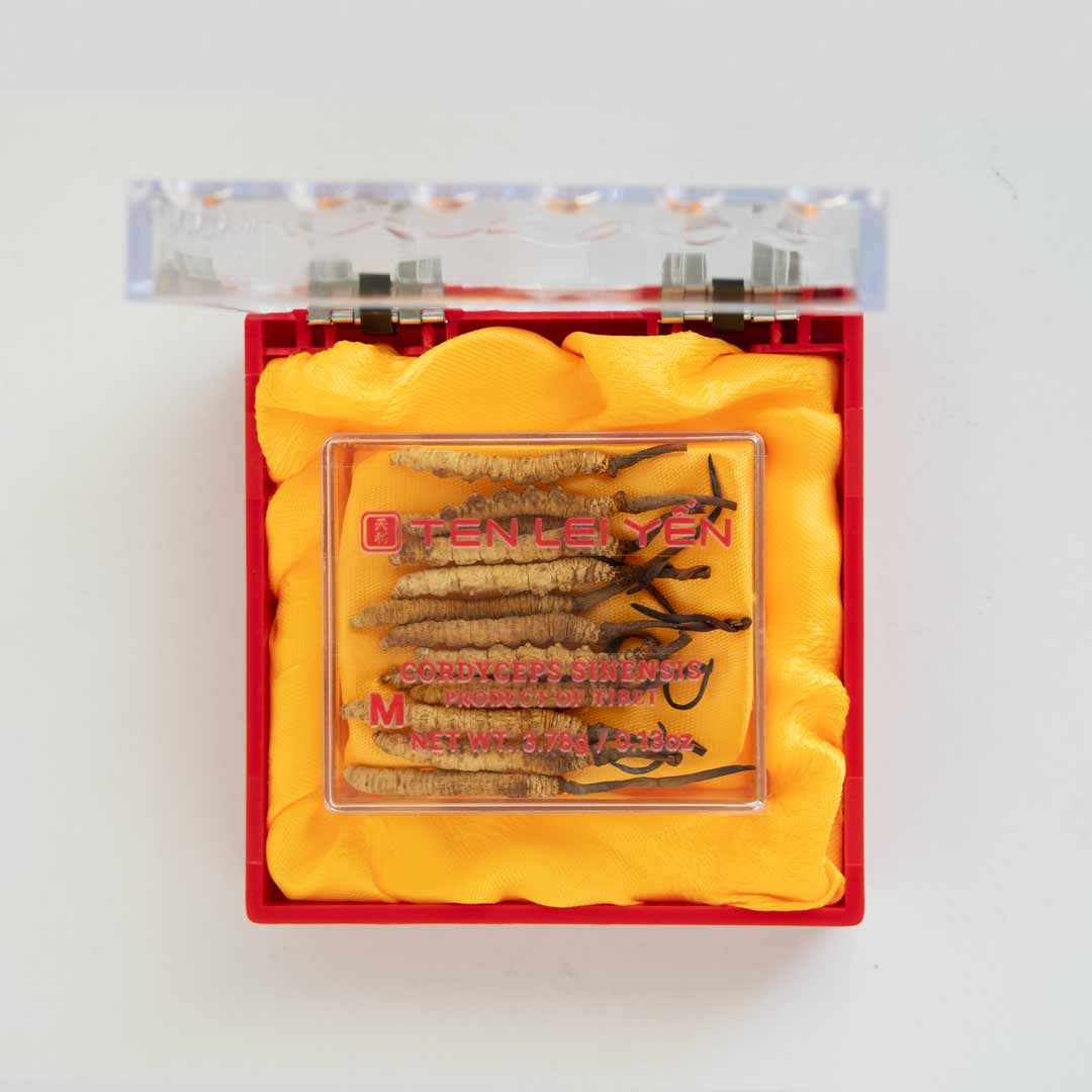 Cultivated Cordyceps Sinensis Medium 3.78 Grams
