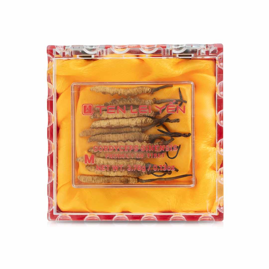 Cultivated Cordyceps Sinensis Medium 3.78 Grams