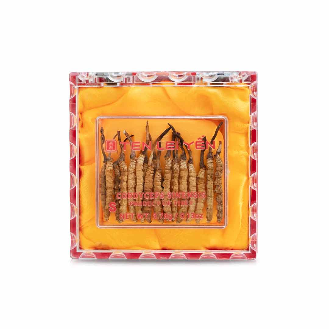 Cultivated Cordyceps Small 3.78 Grams 