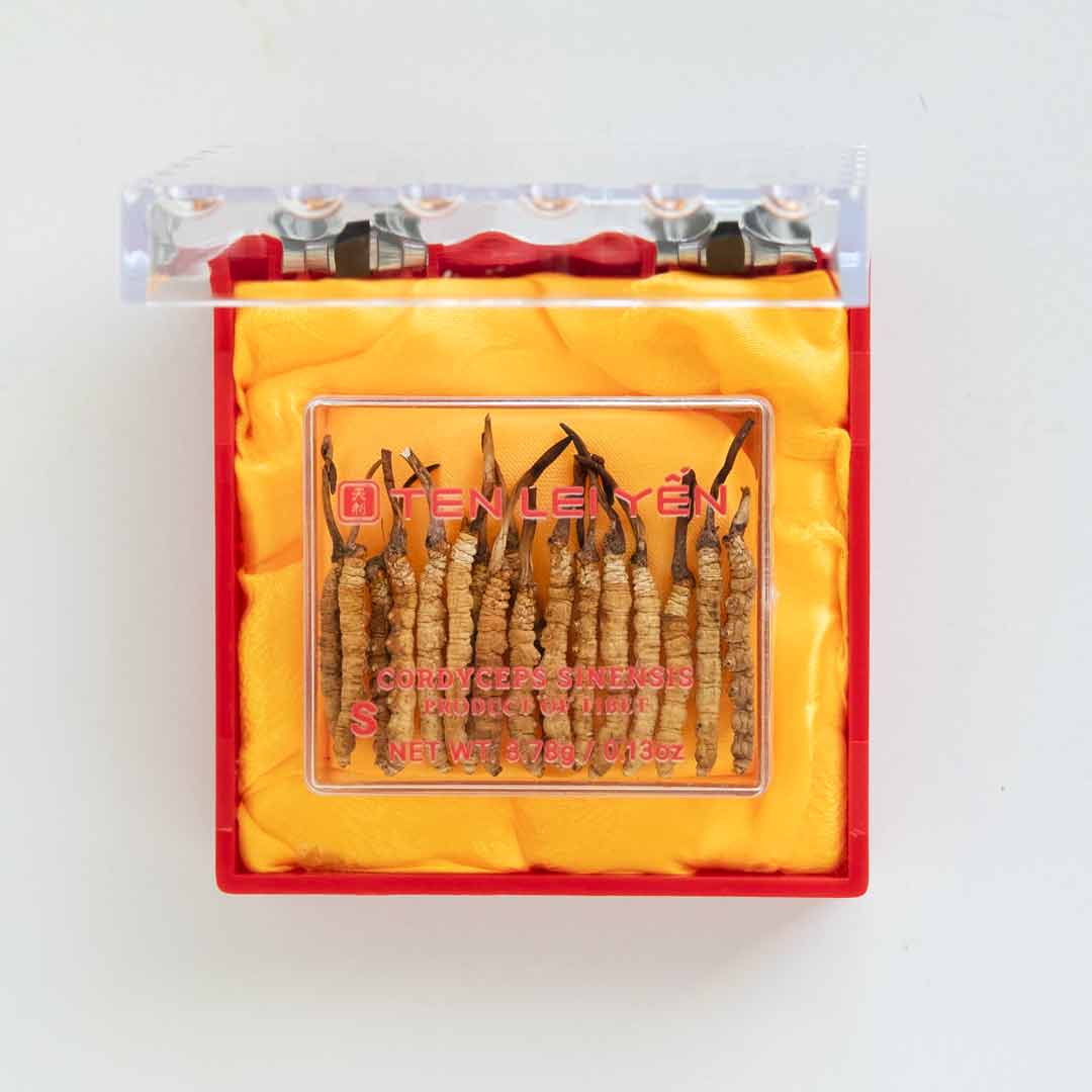 Cultivated Cordyceps Small 3.78 Grams