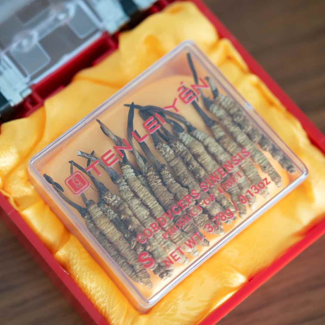 Cultivated Cordyceps Small 3.78 Grams