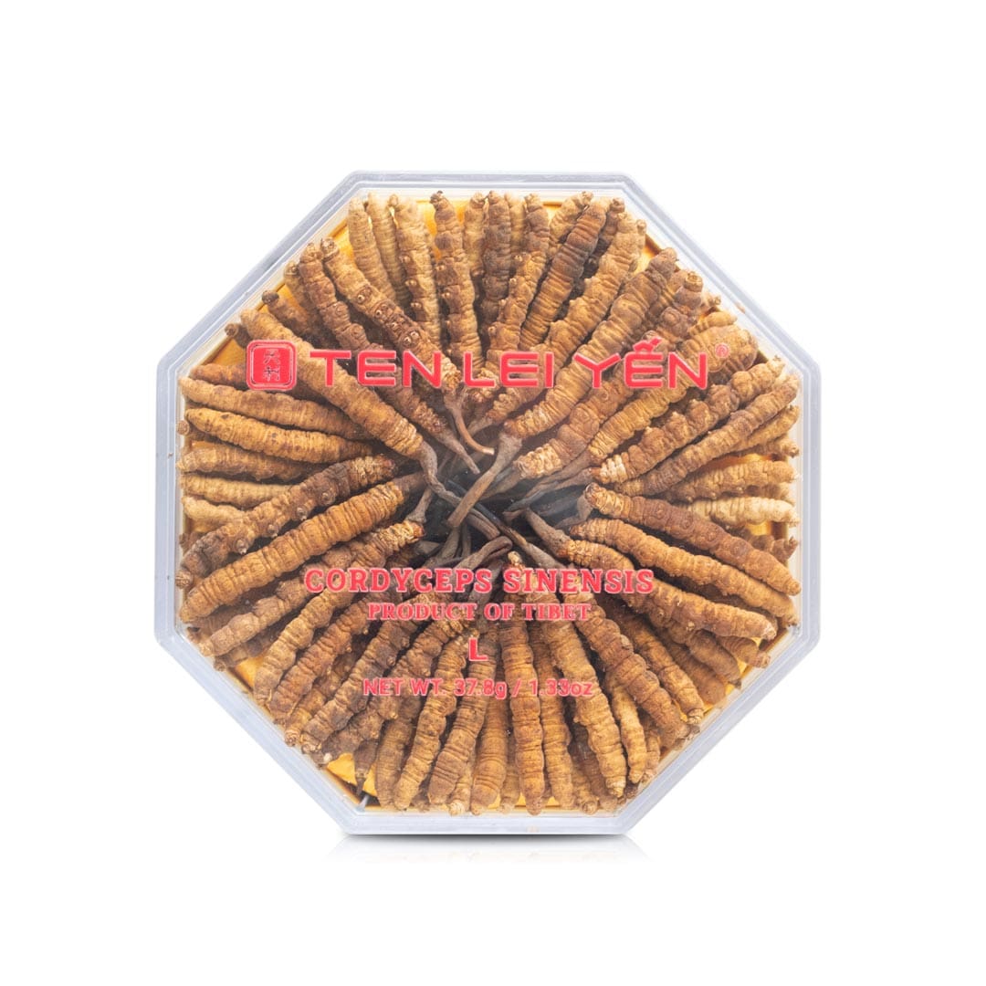 Cultivated Cordyceps Sinensis Tibet | Large | 37.8 Grams