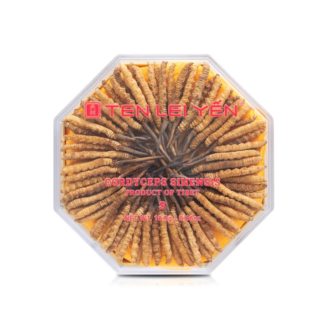 Cultivated Cordyceps Sinensis Tibet | Small | 18.9 Grams – Ten Lei Yen