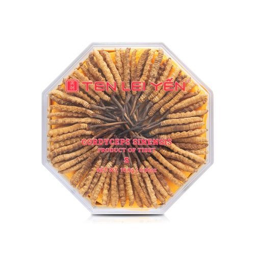 Đông trùng hạ thảo nuôi trồng | Loại Nhỏ | 18.9 Grams