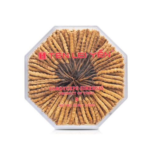 Đông trùng hạ thảo nuôi trồng | Loại Nhỏ | 37.8 Grams