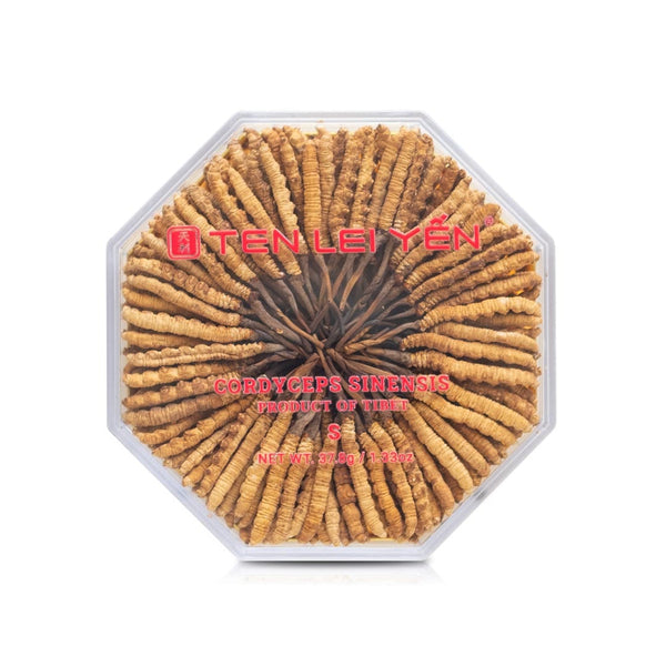 Đông trùng hạ thảo nuôi trồng | Loại Nhỏ | 37.8 Grams