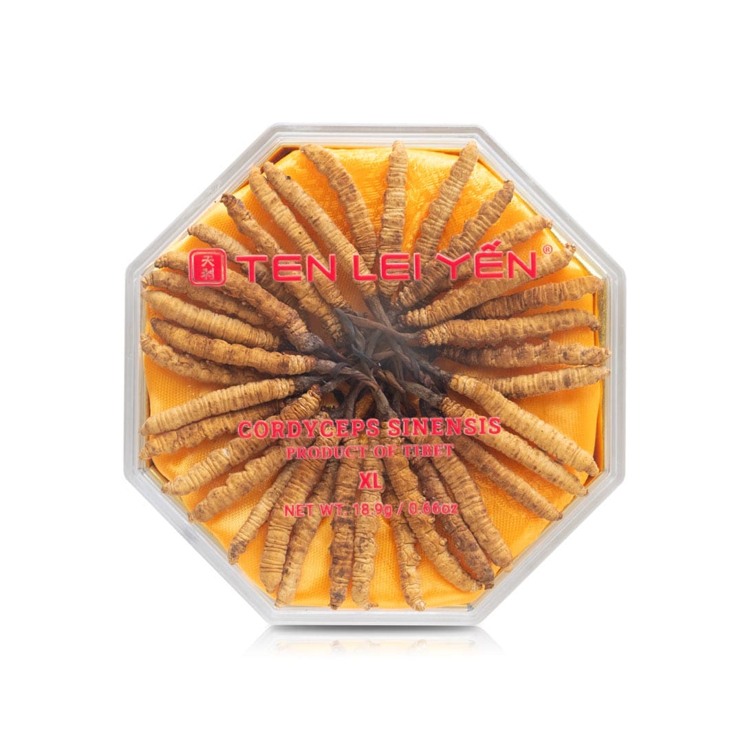 Cultivated Cordyceps Sinensis Tibet | Extra Large | 18.9 Grams