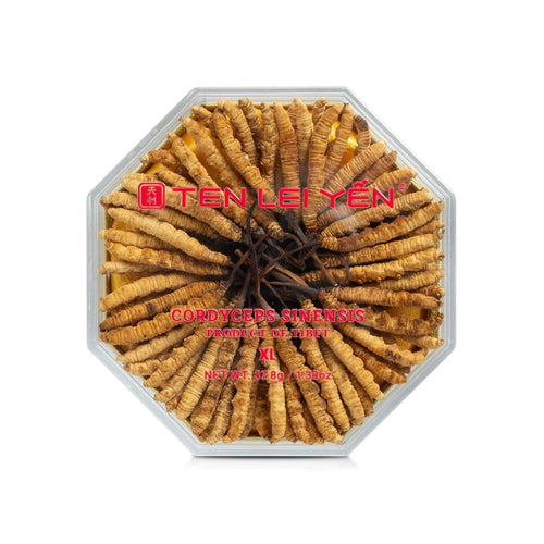 Đông trùng hạ thảo nuôi trồng | Loại Cực Lớn | 37.8 Grams