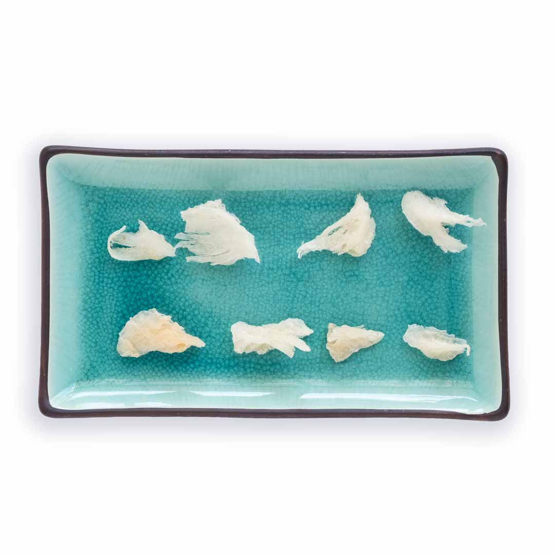 Samples of  white broken edible birds nest on a plate.