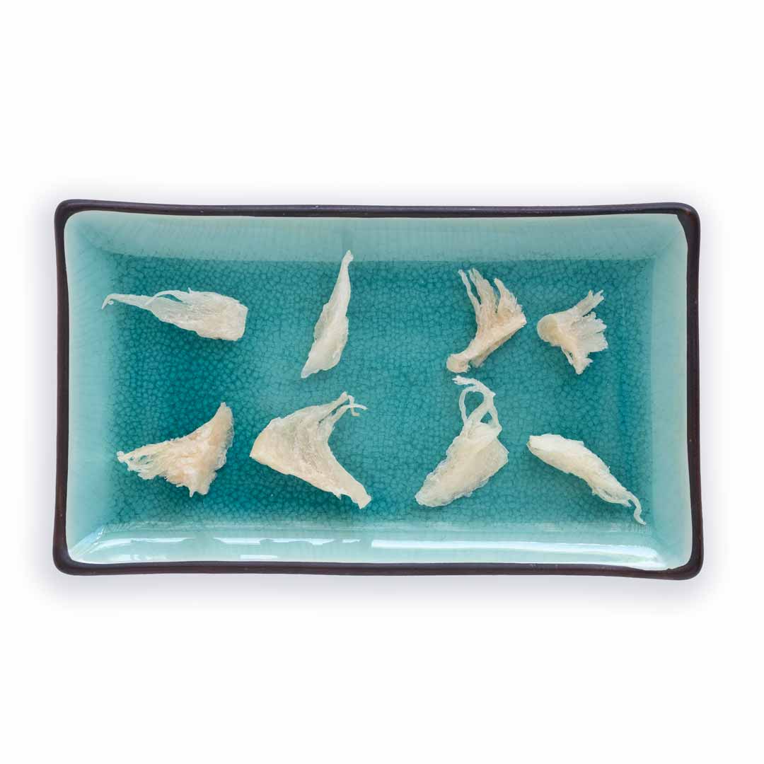 Samples of  white broken edible birds nest on a plate.