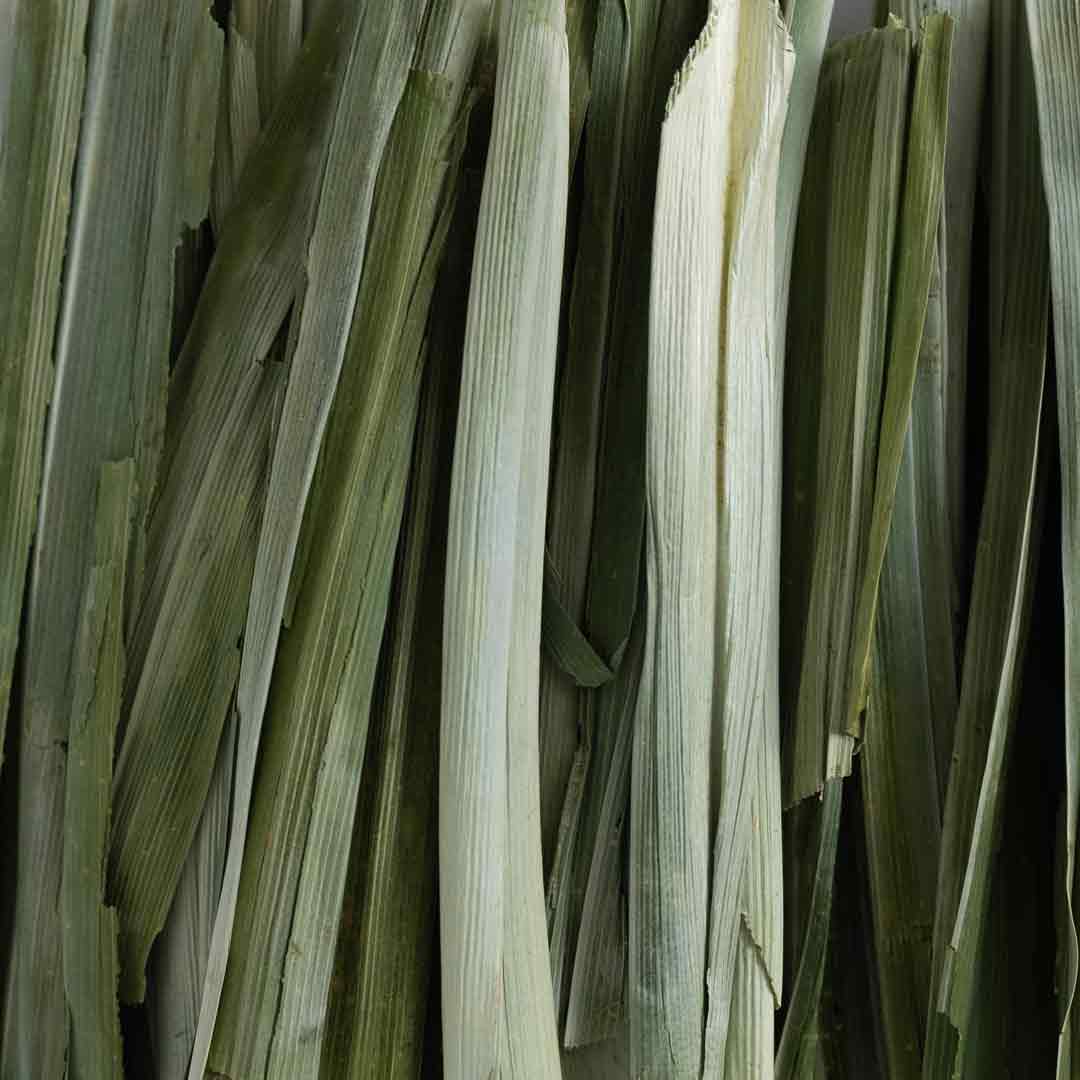 Freeze-Dried Pandan Leaves  | 50 Grams / 1.76 oz