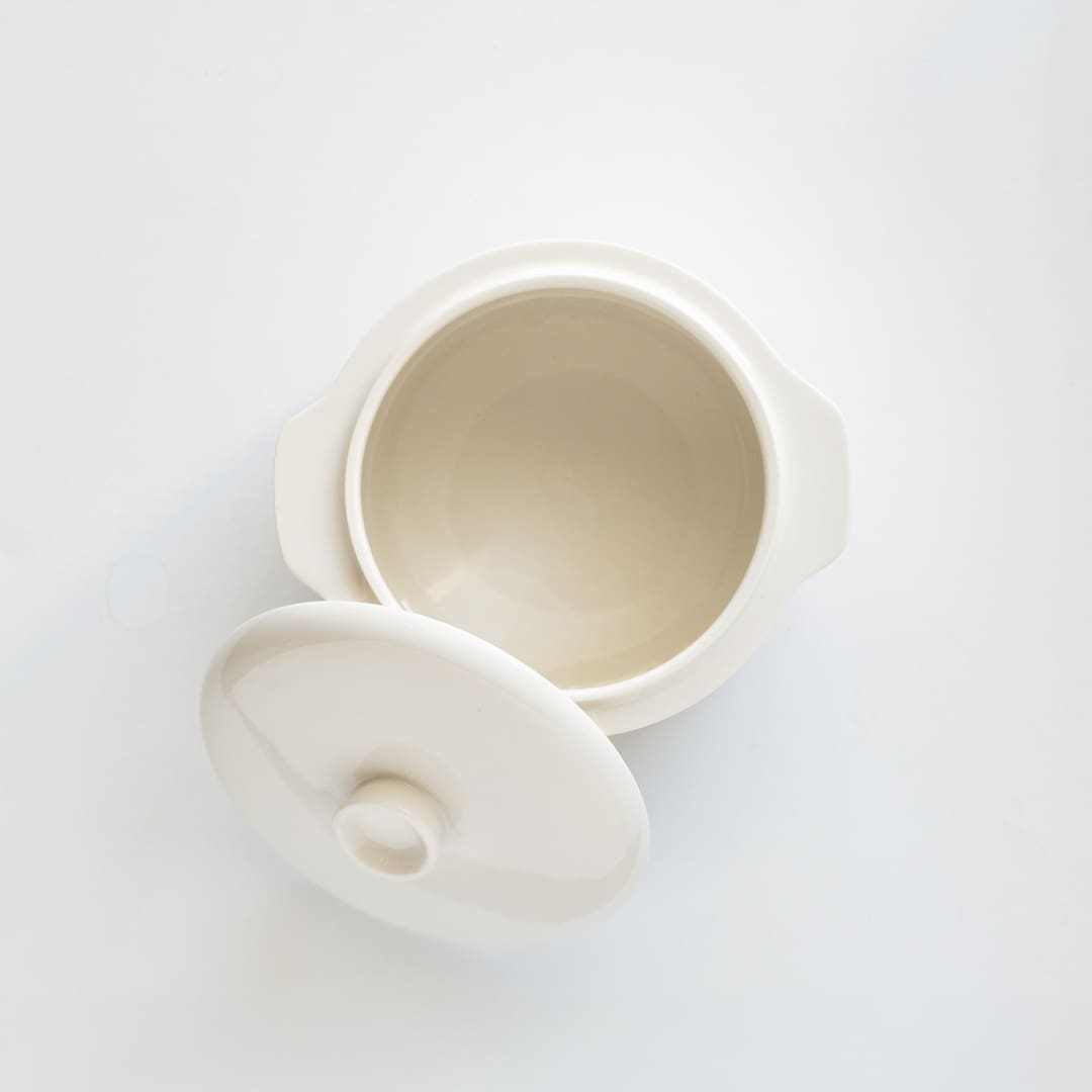 Ten Lei Yến EZ Steamer