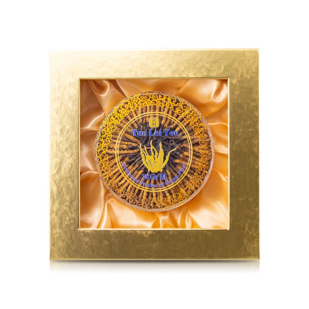 Wild Cordyceps Sinensis Nagqu Tibet | Medium | 38 Grams