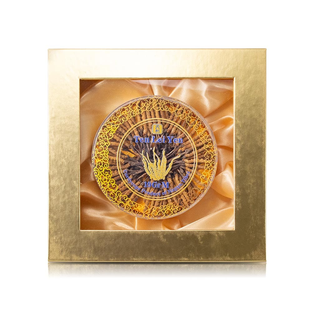 Wild Cordyceps Sinensis Nagqu Tibet | Medium | 19 Grams