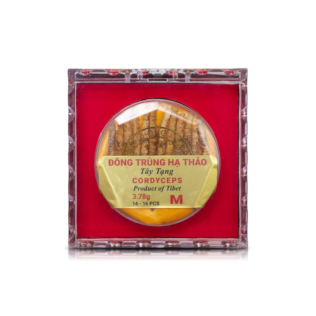 Cultivated Cordyceps Sinensis Tibet | Medium | 3.78 Grams