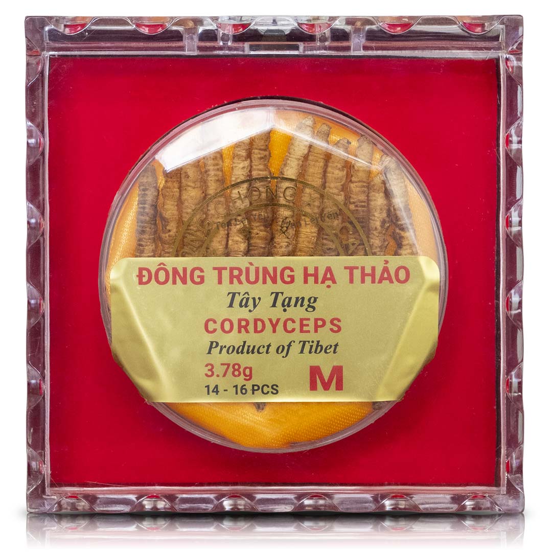 Cultivated Cordyceps Sinensis Tibet | Medium | 3.78 Grams
