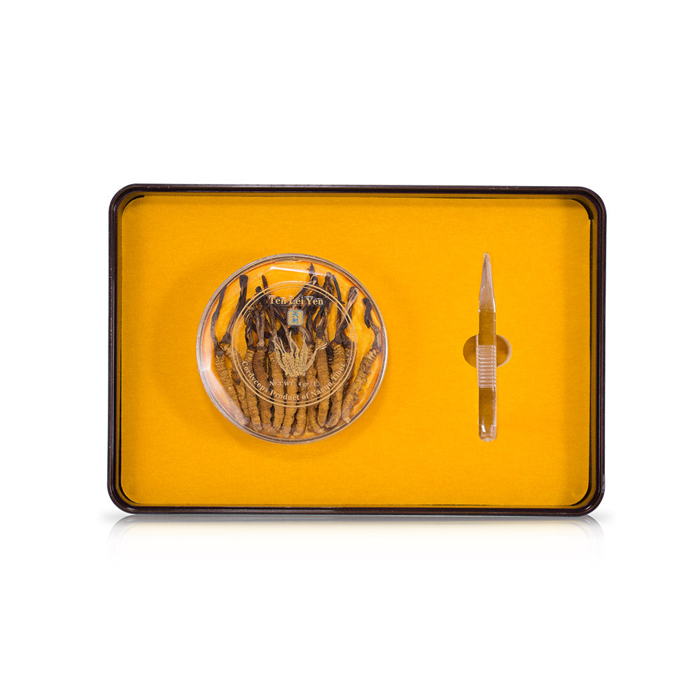 Wild Cordyceps Sinensis Nagqu Tibet | Large | 4 Grams