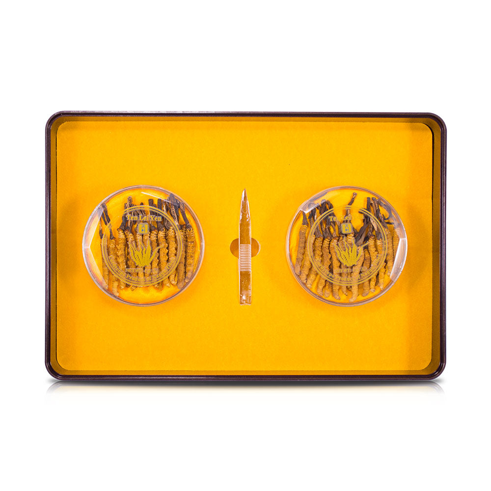 Wild Cordyceps Sinensis Nagqu Tibet | Large | 8 Grams