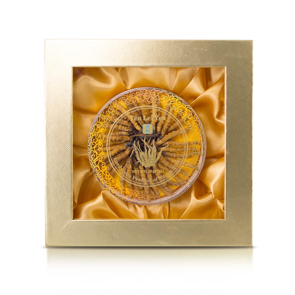 Wild Cordyceps Sinensis Nagqu Tibet | Extra Large | 19 Grams