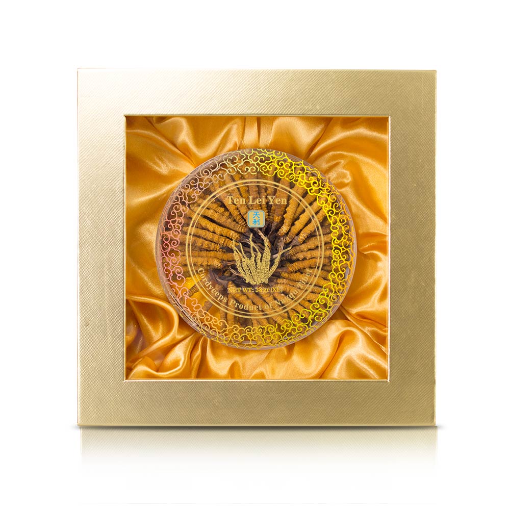 Wild Cordyceps Sinensis Nagqu Tibet | Extra Large | 38 Grams